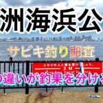 【若洲海浜公園】サビキ釣り　竿の長さで釣果は変わるのか？　検証してみた！