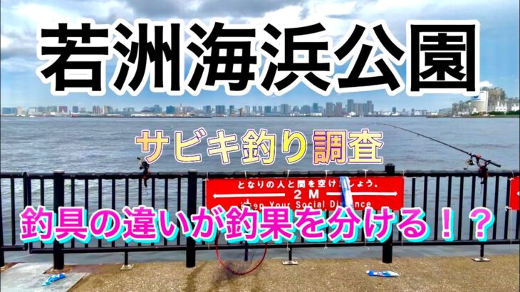 【若洲海浜公園】サビキ釣り　竿の長さで釣果は変わるのか？　検証してみた！