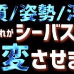 【シーバス釣りが激変】ルアーの泳ぎは『水質』『姿勢』『浮力』で激変します！