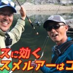 夏のバス釣りはこのルアーで決まり！【オリキン＆木坂】 夏のおかっぱりオススメルアー紹介