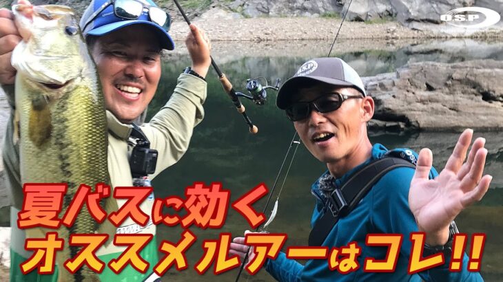 夏のバス釣りはこのルアーで決まり！【オリキン＆木坂】 夏のおかっぱりオススメルアー紹介