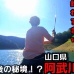 【バス釣り】デカバス爆釣！山口県阿武川ダムがヤバかったww【夏バス釣り】【レンタルボート】【釣りコラボ】【真剣勝負？】【Vlog】【ハリーシュリンプ】【福岡バス釣り】【ブラックバス】【外来魚】