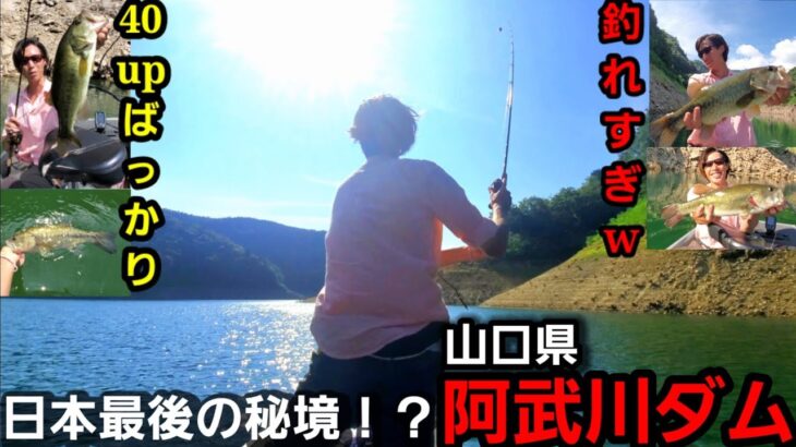 【バス釣り】デカバス爆釣！山口県阿武川ダムがヤバかったww【夏バス釣り】【レンタルボート】【釣りコラボ】【真剣勝負？】【Vlog】【ハリーシュリンプ】【福岡バス釣り】【ブラックバス】【外来魚】