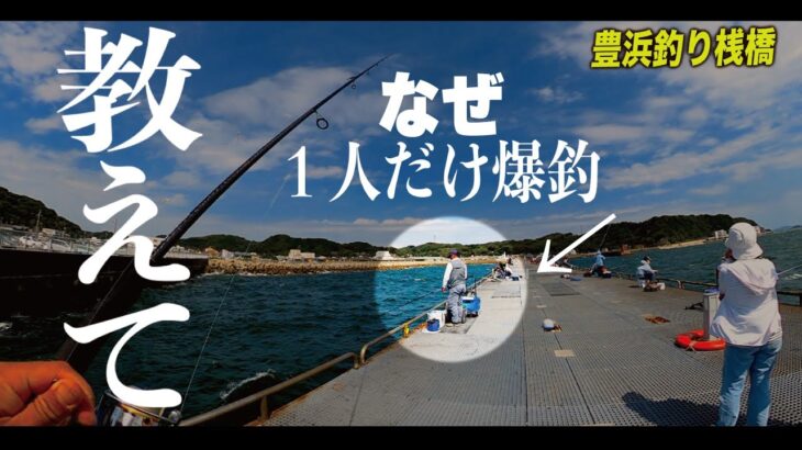 ［ママカリサビキ］1人勝ち‼︎⁉︎    弟子入りしたら爆釣した。【最強サビキとは？】