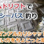 ワームドリフトでシーバス釣り～コアマン アルカリシャッドの使い方をちょこっと添えて～【2021年9月18日】