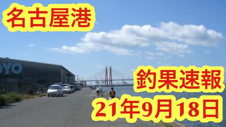 【愛知県釣り】車横付け可能！名古屋港！太刀魚•シーバス釣り！釣果速報！21年9月18日！