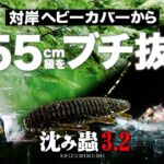 【バス釣り】沈み蟲 3.2 in  | 55cm級を対岸からブチ抜く【AK◆BOX】
