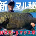 【バス釣り】投げて巻くだけでデカバス連発の新たな釣りがヤバかった…【HAYASHISTYLE  vol.3】