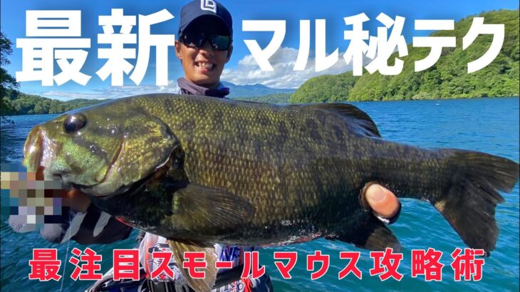 【バス釣り】投げて巻くだけでデカバス連発の新たな釣りがヤバかった…【HAYASHISTYLE  vol.3】