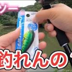 【バス釣り】ダイソー新型シャロークランクって釣れるの？【ダイソー釣具】【ダイソールアー】【減水野池】