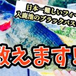 【釣り　ブラックバス】日本一難しいフィールド入鹿池のブラックバスポイント教えます‼︎