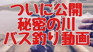 【バス釣り】岐阜県　川　バス釣り　秘密の川にてブラックバスを探してます。