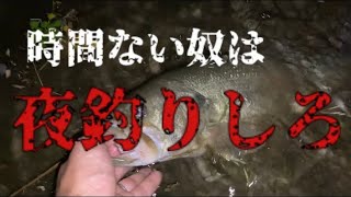 【バス釣り】時間ない奴は夜釣りしろ