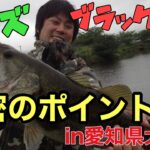 【釣りナマズ・ブラックバス】地元アングラーおすすめ‼︎愛知県犬山市半之木川のポイント紹介