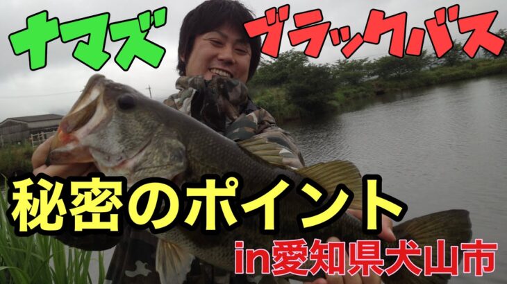 【釣りナマズ・ブラックバス】地元アングラーおすすめ‼︎愛知県犬山市半之木川のポイント紹介