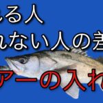 シーバス釣り初めての人や初心者の人に見て欲しい釣れるルアーの入れ方を分かりやすく解説。