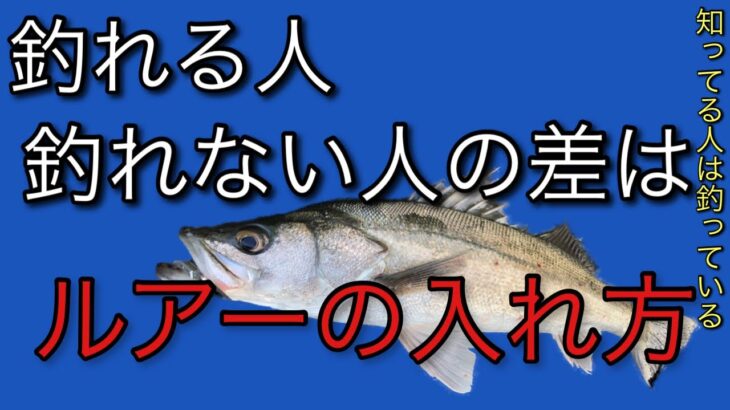 シーバス釣り初めての人や初心者の人に見て欲しい釣れるルアーの入れ方を分かりやすく解説。