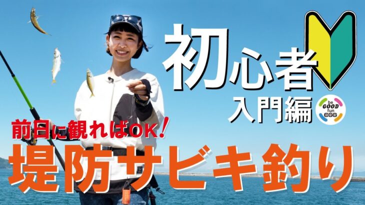 【堤防サビキ釣り】初心者が迷わない！基本の堤防サビキ釣り