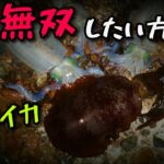 【秋エギング】夜の釣り方のヒント教えます。あまりバラしたくないコツも…。 アオリイカ　エギング　秋アオリ　秋エギング 巻いて釣る ナイトエギング