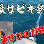 【衝撃！】堤防で遠投サビキ釣りをしてきた！この仕掛けでまさかの青物を簡単にゲットできてしまう！？アタリの瞬間もお見逃しなく。。