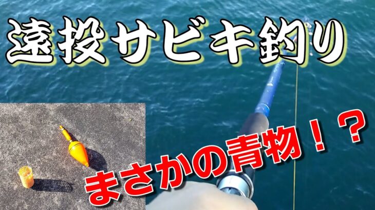 【衝撃！】堤防で遠投サビキ釣りをしてきた！この仕掛けでまさかの青物を簡単にゲットできてしまう！？アタリの瞬間もお見逃しなく。。