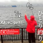 [若洲海浜公園]雨だったけどひとりでサビキ釣りしてきたよ♫