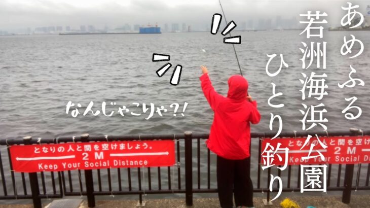 [若洲海浜公園]雨だったけどひとりでサビキ釣りしてきたよ♫