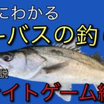 シーバスの釣り方ナイトゲーム編。簡単にわかるシーバスナイトゲームの釣り方