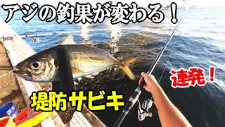 堤防サビキ釣りでアジの釣果が２倍に変わる竿と釣法！夕マズメに色々な竿と釣り方を試したら答えが判明！アジ・サバ・カマスが釣れた！