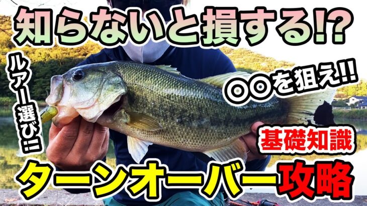 【バス釣り】ターンオーバー（野池）の攻略法は？ルアー選びや釣り方の注意点を解説してみた【濁り】【台風】