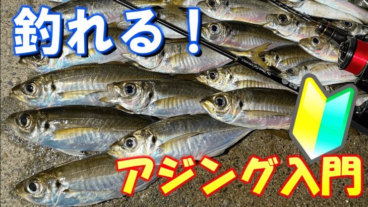 アジング初心者必見！最も分かりやすく、誰でもアジが釣れるようになるアジの釣り方講座【超解説】