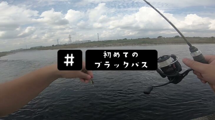 【多摩川スモール】#1 バス釣り初心者がルアーを投げる練習をしていたら、ブラックバスが釣れちゃったよ