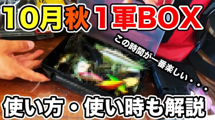 【バス釣り】10月秋のルアー・ワームのタックルボックス!!整理したのでバッグの中身を紹介してみた【俺達】【秦拓馬】【錆び取り・防止】【ルアー回収機】[RAID JAPAN]