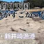 【釣り場動画#12】関西屈指のイカ釣りエギングスポットで秋イカ春イカを釣ろう