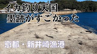 【釣り場動画#12】関西屈指のイカ釣りエギングスポットで秋イカ春イカを釣ろう