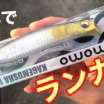 【カゲムシャ124F】ランカー級のシーバスがメガバスカゲロウKAGELOUのパクリルアーで釣れた日　2021年10月19日