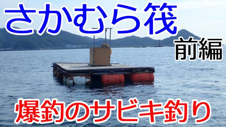 2021年　和歌山県　さかむら筏　前編　サビキ釣り　カゴ釣り　一つテンヤ