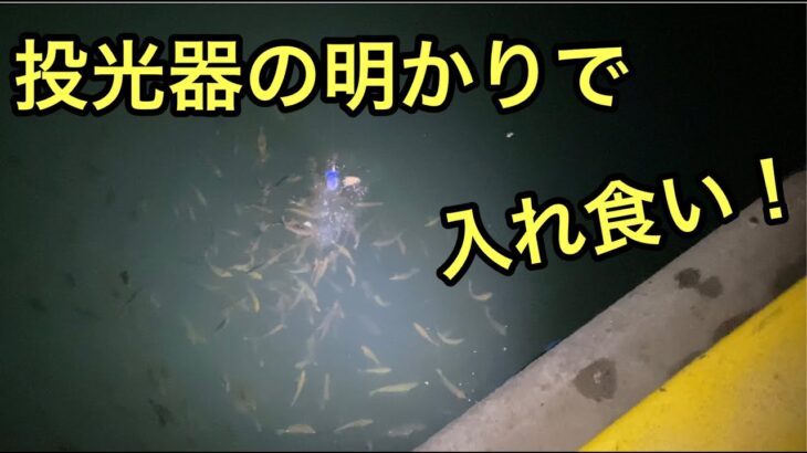 波崎新港サビキ釣り【2021年10月16日】夜明け前から朝方の時合い編