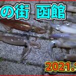 【函館イカ釣り】釣りド素人、エギに初挑戦！(2021年10月24日)