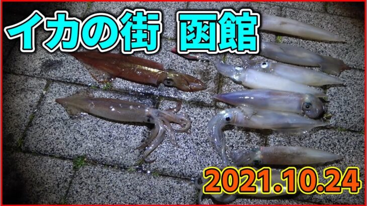 【函館イカ釣り】釣りド素人、エギに初挑戦！(2021年10月24日)