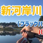 【ブラックバス編NO,3】埼玉県新河岸川にて釣りキャンが挑む！