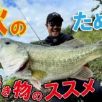 【RAID JAPAN】秋のため池巻き物のススメ