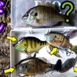 【バス釣り 野池】ギルパターン最強ルアーは、これだ！秋のバスフィッシング！！bassfishing