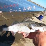 釣って美味しくいただく！シーバスのぶっこみ釣り。