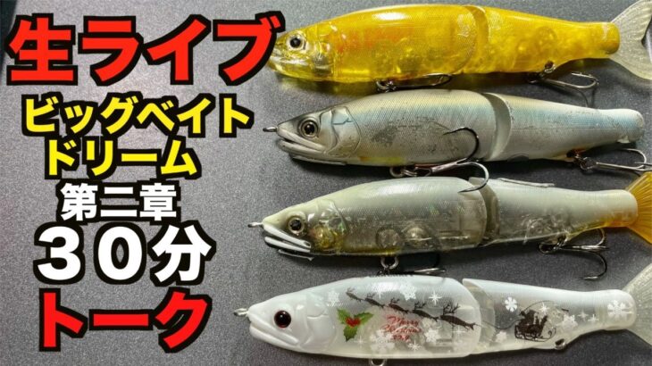 【バス釣り】超ヘビータックルで挑む秋のバス釣りどうやるか生放送トークライブやったら最終的に人生相談になった。