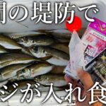 【昼間からアジが入れ食い！】深場を狙ったぶっこみサビキのアジ釣りを紹介します