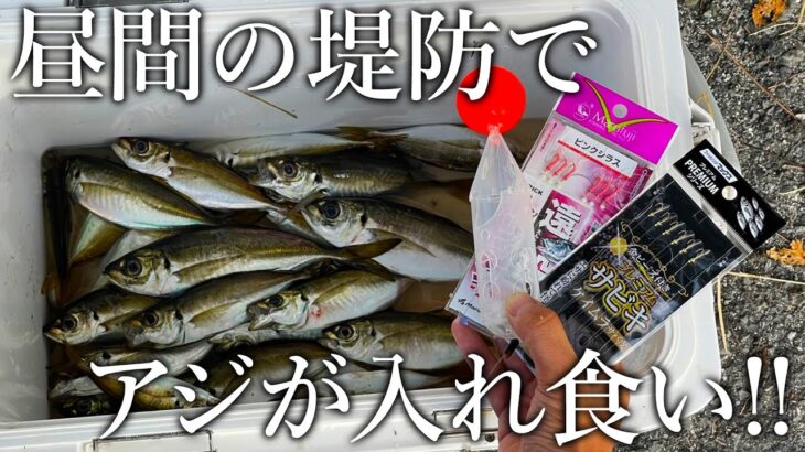 【昼間からアジが入れ食い！】深場を狙ったぶっこみサビキのアジ釣りを紹介します