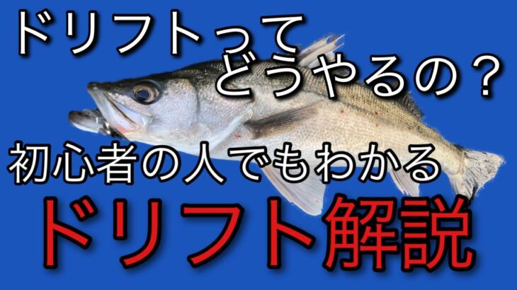 初心者の人でもわかるシーバスの釣り方ドリフトをわかりやすく解説