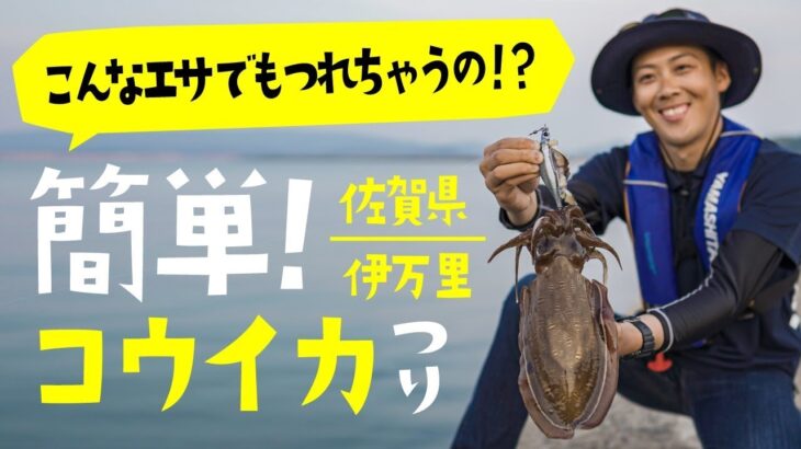 伊万里湾の波止でイカ釣り三昧！佐賀県の海の恵み！