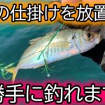 【簡単】釣ったアジを放置するだけでアオリイカが勝手に釣れる仕掛けがこちら。